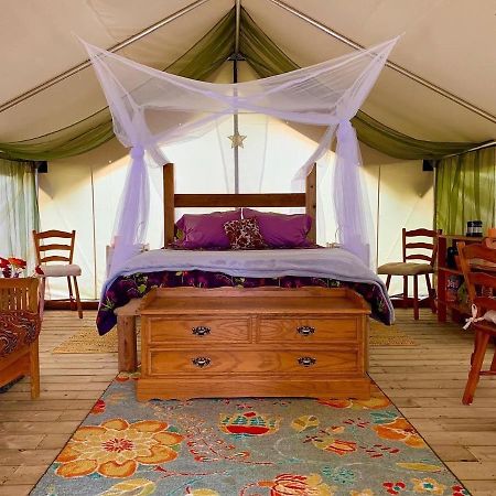 So Damn Lucky Glamping Hotel ยูคลูเลต ภายนอก รูปภาพ