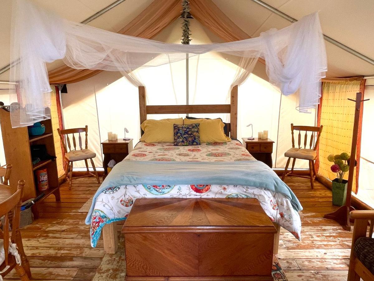 So Damn Lucky Glamping Hotel ยูคลูเลต ภายนอก รูปภาพ