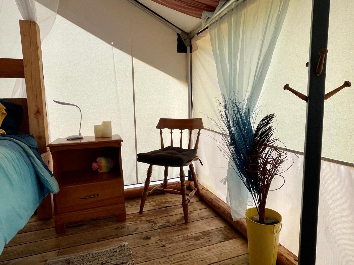 So Damn Lucky Glamping Hotel ยูคลูเลต ภายนอก รูปภาพ