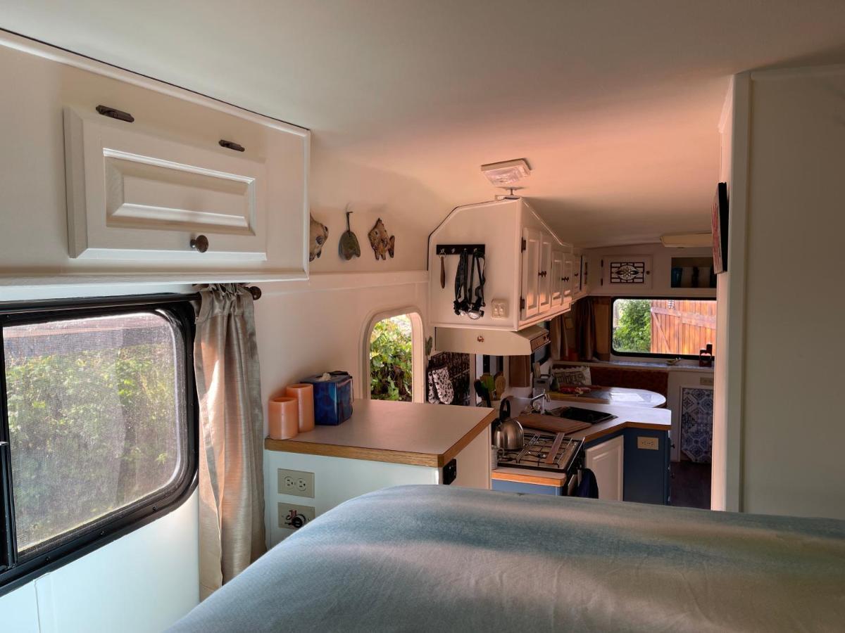 So Damn Lucky Glamping Hotel ยูคลูเลต ภายนอก รูปภาพ