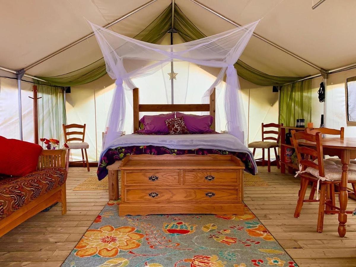 So Damn Lucky Glamping Hotel ยูคลูเลต ภายนอก รูปภาพ